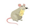 Print. Vector cartoon rat with cheese. Sweet rodent. Cartoon character.Little fluffy mouse. gray wool