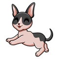 Cute cat cornish rex cartoon