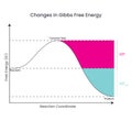 Changes in Gibbs Free Energy depicted in a reaction diagram of a thermodynamically favorable reaction