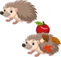 Cartoon two hedgehog with red apple, autumn leaves and mushroom Royalty Free Stock Photo