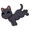 Cute bombay cat cartoon posing Royalty Free Stock Photo