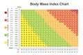 Body Mass Index (BMI) Chart Royalty Free Stock Photo