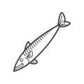 thin line mackerel