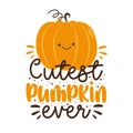 Cutest pumpkin ever - cute pumpkin face. Royalty Free Stock Photo