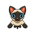 Cute siamese cat cartoon jumping Royalty Free Stock Photo