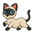 Cute siamese cat cartoon walking Royalty Free Stock Photo