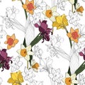 Seamless delicate pattern with spring line flowers. Bright spring daffodils, tulips illustration.