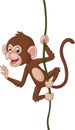 Cartoon baby monkey hanging on a tree branch Royalty Free Stock Photo