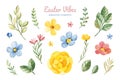 Watercolor floral elements.Set with branches,leaves and flowers Royalty Free Stock Photo