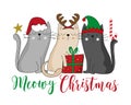 Meowy Christmas - Santa cat, reindeer cat, and elf cat with Christmas presents. Royalty Free Stock Photo