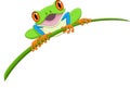 Cartoon happy frog on leaf Royalty Free Stock Photo