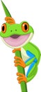 Cartoon happy frog on leaf Royalty Free Stock Photo