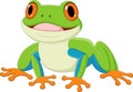 Cartoon happy frog on white background Royalty Free Stock Photo