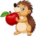 Cartoon baby hedgehog holding red apple Royalty Free Stock Photo