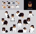 Dog Collie Black Coat Cartoon Vector Illustration Color Variation Set