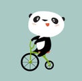 Print. Cute panda on a bike. Asian animal. Sport competitions. Cartoon panda. Royalty Free Stock Photo