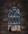 Merry Christmas gothic window with Santa Claus and cat