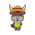 Cute bull cartoon mascot character drink fresh coconut.
