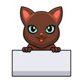 Cute havana brown cat cartoon holding blank sign