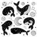 Set of isolated black celestial whales Royalty Free Stock Photo