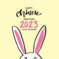 Chinese new year 2023 greetings with cute rabbit Royalty Free Stock Photo