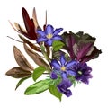 Tropical violet flowers, branches and exotic leaves composition over white.