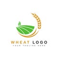 wheat logo template. isolated wheat field icon. vector illustration. eps7