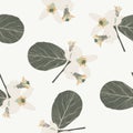 Blooming lemons with leaves and flowers. Seamless background from a blooming garden with tropical fruits and leaves.