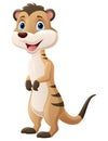 Cute meerkat cartoon on white background Royalty Free Stock Photo