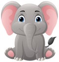 Cute baby elephant cartoon sitting Royalty Free Stock Photo