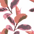 Tropical jungle plants, pink ficus and exotic leaves on vintage background.