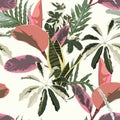 Tropical jungle plants, Sansevieria, pink ficus and exotic leaves on vintage beige background.