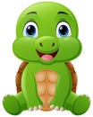 Cute baby turtle cartoon sitting Royalty Free Stock Photo
