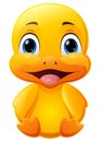 Cute baby duck cartoon sitting Royalty Free Stock Photo