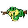 Cute little cobra snake cartoon on tree branch Royalty Free Stock Photo