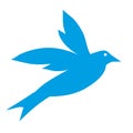 Dove - Beautiful bird in Blue color - wildlife