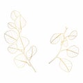 Seeded eucalyptus logo and branch. Hand drawn golden line wedding herb, plant and monogram.