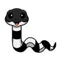 Cute banded krait snake cartoon