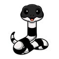 Cute banded krait snake cartoon