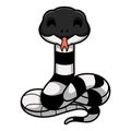 Cute banded krait snake cartoon