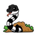 Cute banded krait snake cartoon out from hole