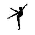 Male Ballet Dancers Dancer Royalty Free Stock Photo