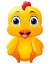 Cute little chick cartoon sitting