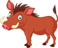 Cartoon warthog on white background