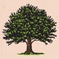 Old tree vector hand drawn Royalty Free Stock Photo