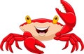 Cartoon happy crab on white background Royalty Free Stock Photo