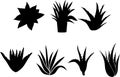 Aloe Vera Tree silhouette Set Royalty Free Stock Photo