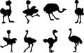 Ostrich silhouette set