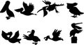 Pelican bird silhouette set Royalty Free Stock Photo