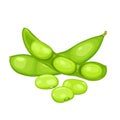 edamame beans isolated on white background. Vector eps 10. Royalty Free Stock Photo
